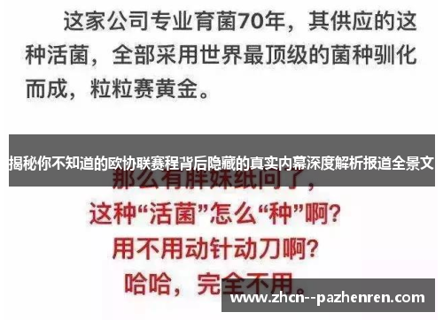 揭秘你不知道的欧协联赛程背后隐藏的真实内幕深度解析报道全景文